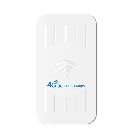 Ródaire Gan Sreang Lasmuigh 4G LTE CPE ODU